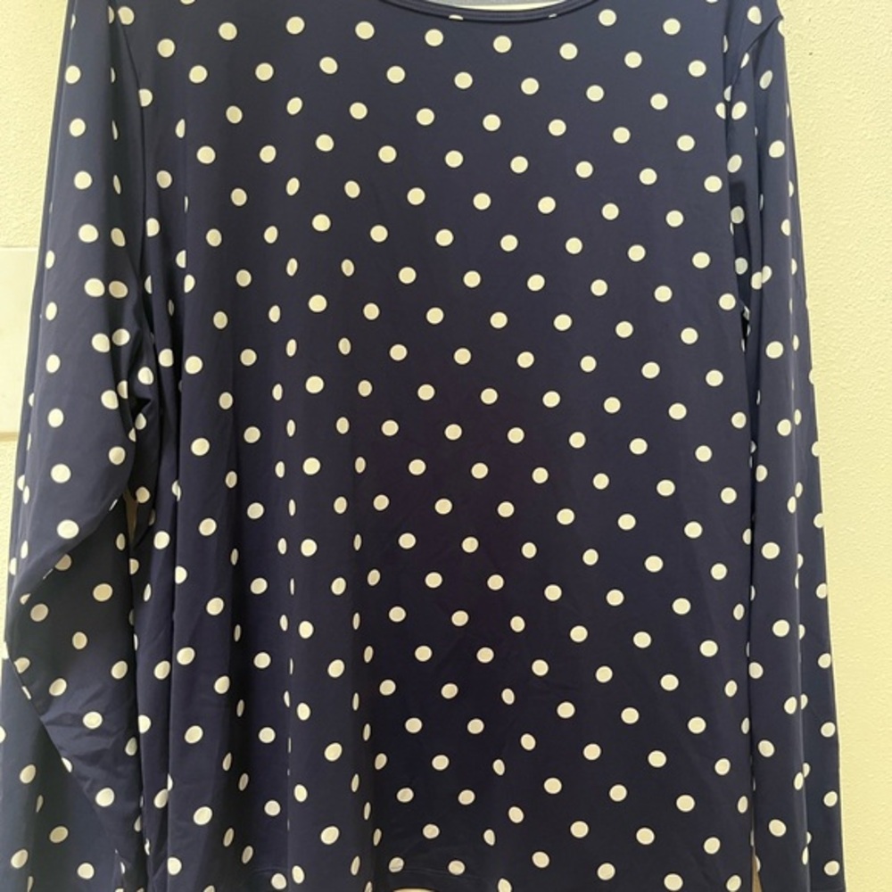 Lands' End Blue and White Relaxed Long Sleeve Blouse